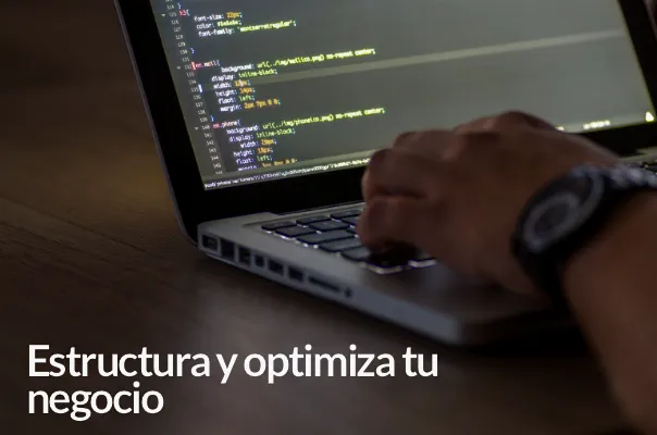Estructura y optimiza negocio